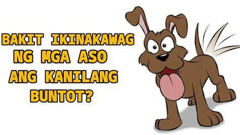 lalake kinantot ang aso|Kung Bakit Iwinawagwag ng mga Aso ang Kanilang Buntot.